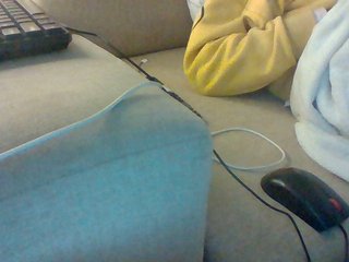 Dollie's Live Webcam