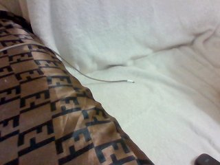 Dollie's Live Webcam
