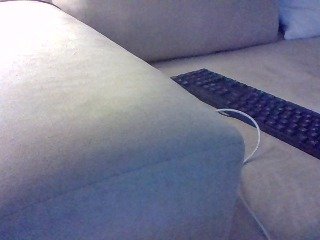 Dollie's Live Webcam