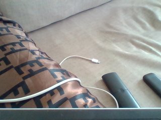 Dollie's Live Webcam