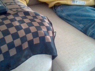 Dollie's Live Webcam