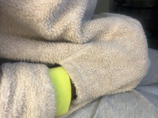 Dollie Porn Show