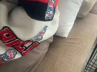 Dollie's Live Webcam
