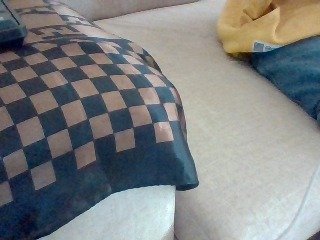 Dollie's Live Webcam