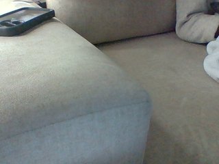 Dollie's Live Webcam