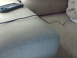 Dollie's Live Webcam