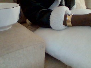 Dollie's Live Webcam