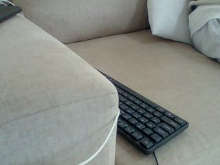 Dollie's Live Webcam