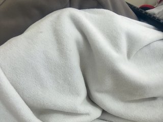 Dollie's Live Webcam