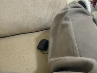Dollie's Live Webcam