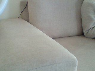 Dollie's Live Webcam