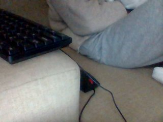 Dollie's Live Webcam