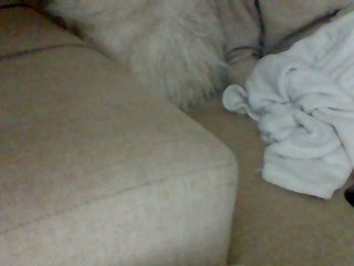 Dollie