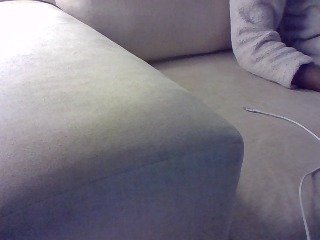 Dollie's Live Webcam