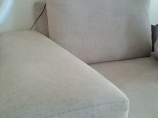 Dollie Porn Show