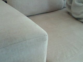 Dollie's Live Webcam