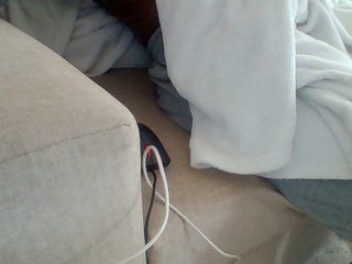 Dollie's Live Webcam