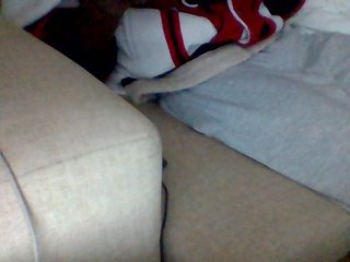 Dollie's Live Webcam