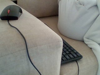 Dollie's Live Webcam
