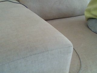 Dollie's Live Webcam