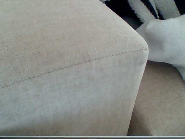 Dollie webcam