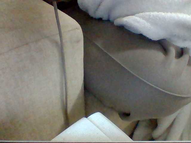 Dotrizer-1 live cam on BongaCams