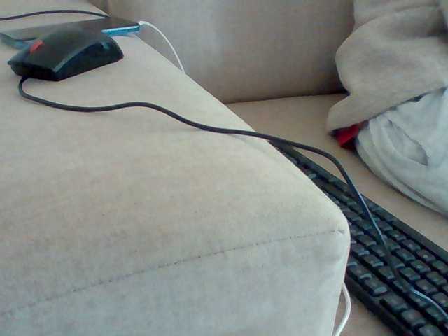 Dotrizer-1 live cam on BongaCams