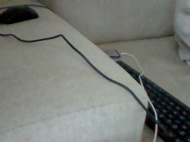 Dotrizer-1 live cam on BongaCams