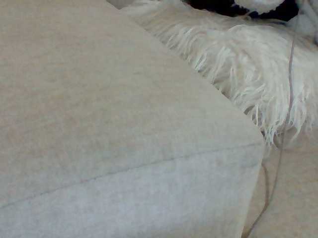 Dotrizer-1 live cam on BongaCams