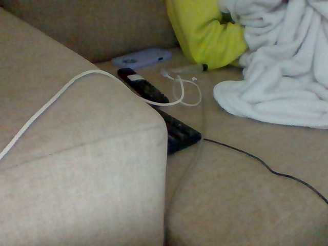 Dollie webcam