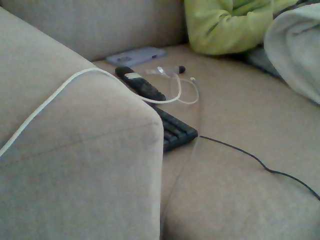 Dollie webcam