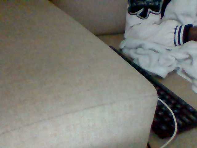 Dollie webcam