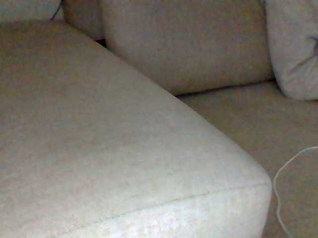 Dollie webcam