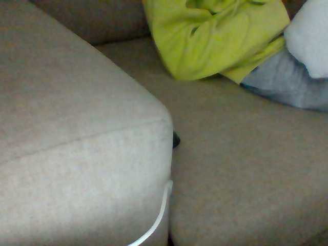 Dollie webcam