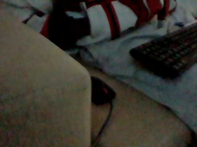 Dollie