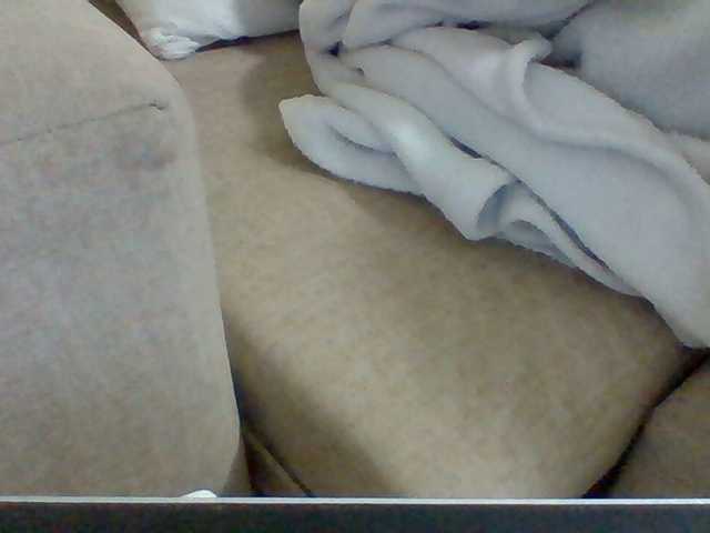 Dollie webcam