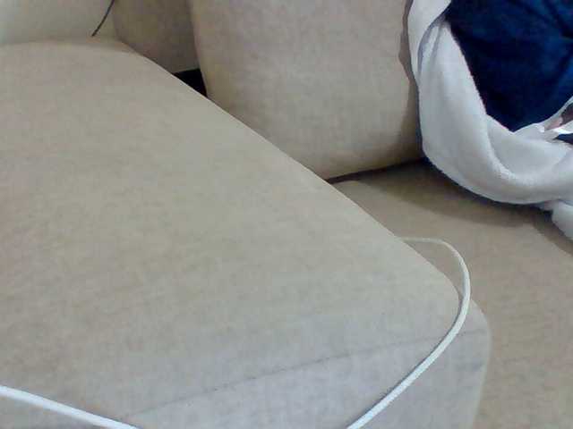 Dollie webcam