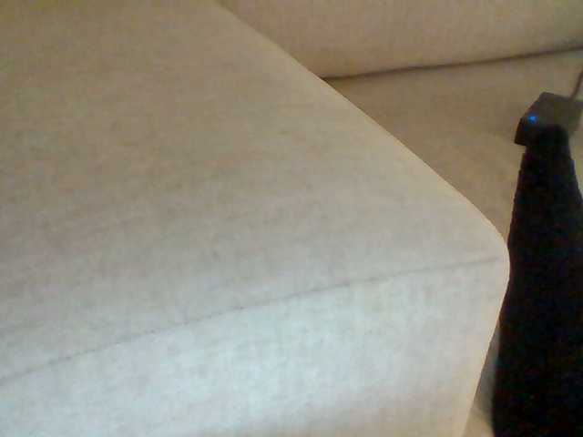 Dotrizer-1 live cam on BongaCams