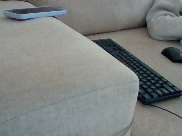 Dotrizer-1 live cam on BongaCams