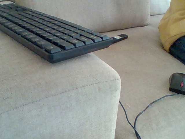 Dollie webcam