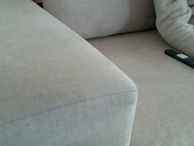 Dollie webcam