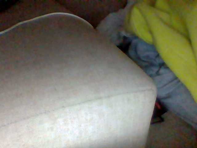 Dollie webcam
