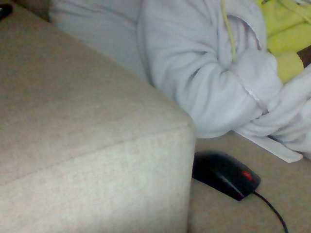 Dollie webcam