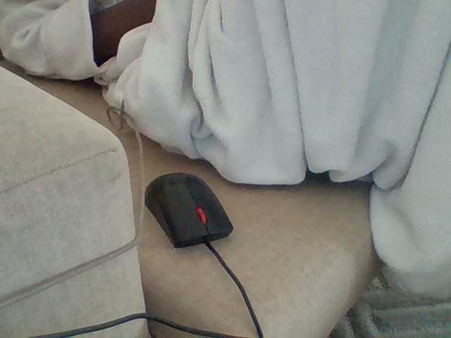 Dollie webcam