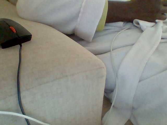 Dollie webcam