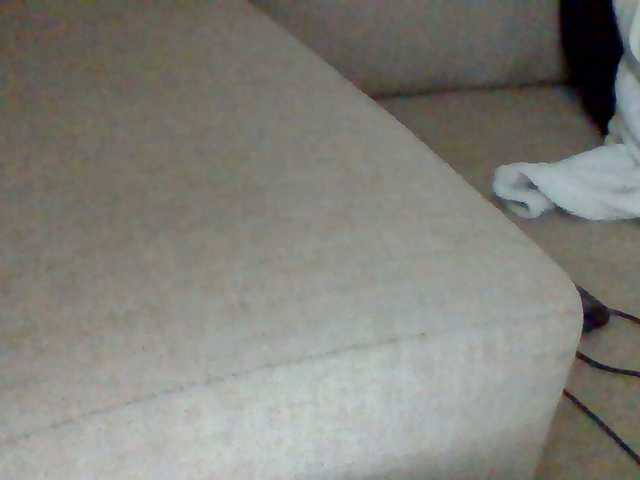 Dollie webcam
