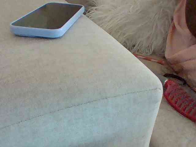 Dollie webcam