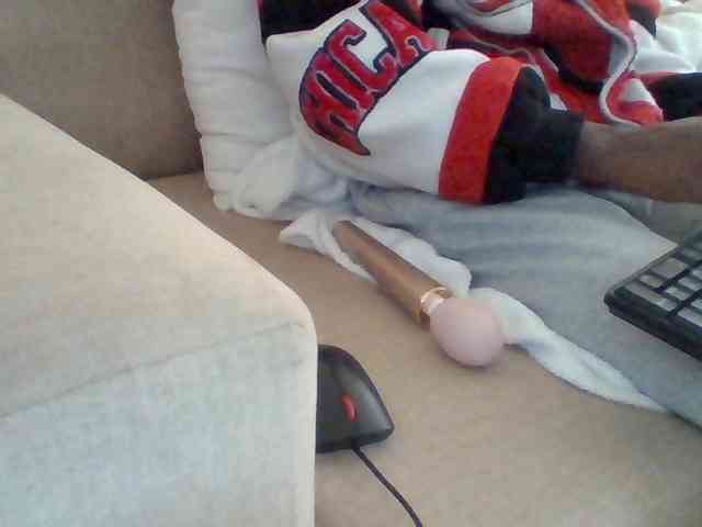 Dollie webcam
