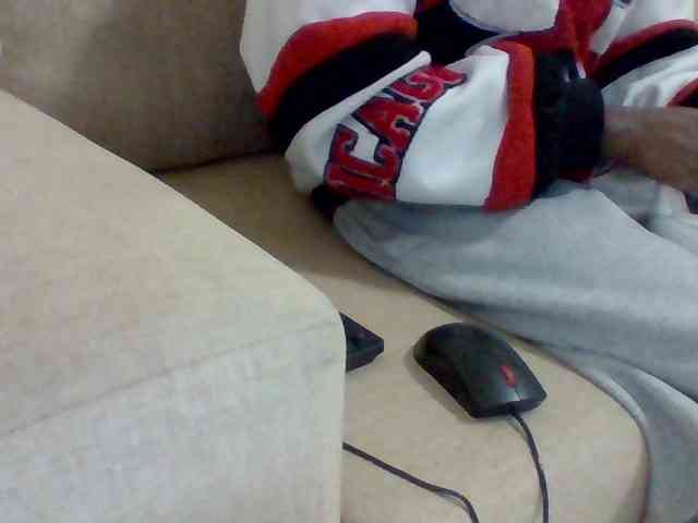 Dollie webcam