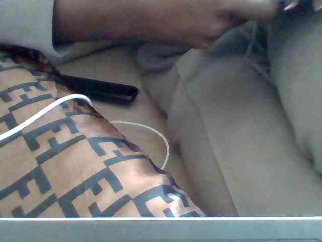 Dollie webcam